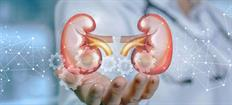 What you need to know about Chronic Kidney Disease